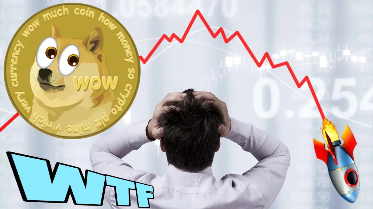 Dogecoin HYPER CRASH Bitcoin Crypto Selloff ⚠️