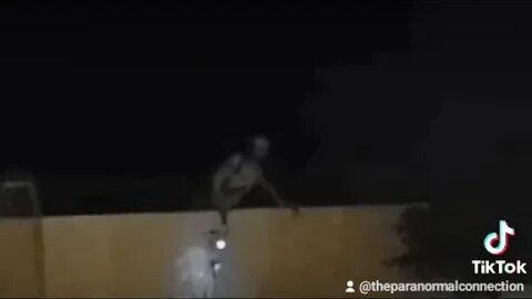 The Vistor