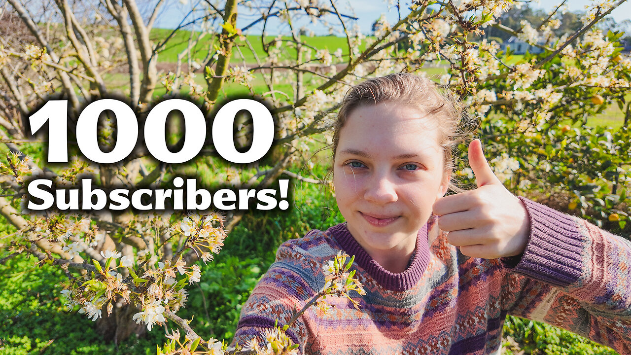 Thank You For 1000 Subscribers on YouTube!!