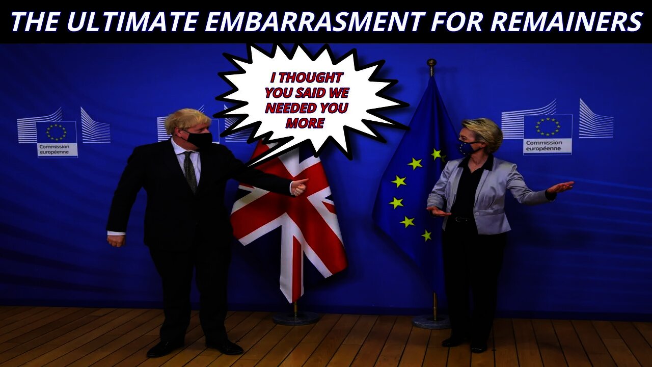 We Needed Who After Brexit Remainers 🤣😂🤣