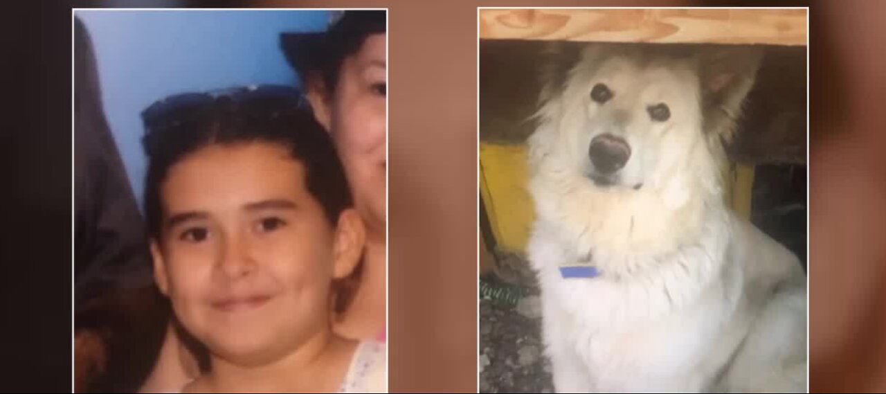 Missing girl and her dog have been found