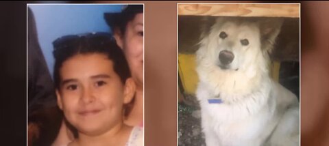 Missing girl and her dog have been found