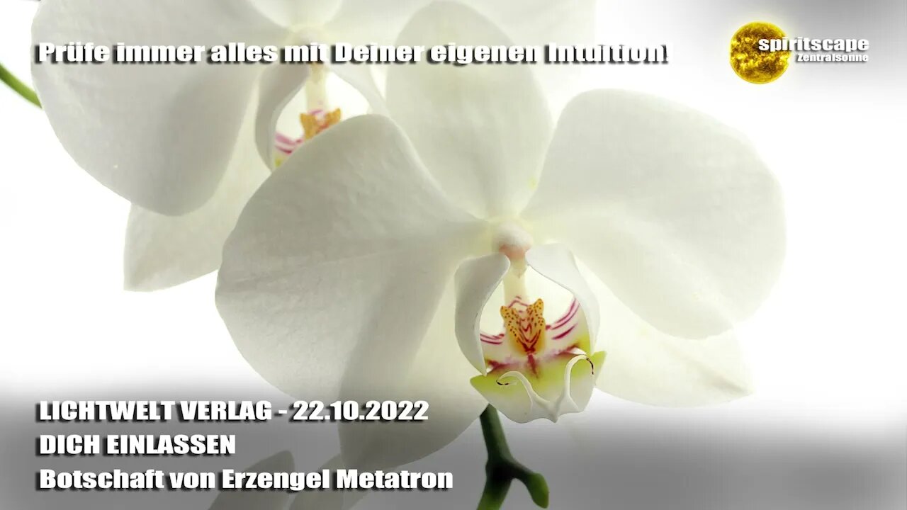 DICH EINLASSEN ~ Botschaft von Erzengel Metatron ~ LWV