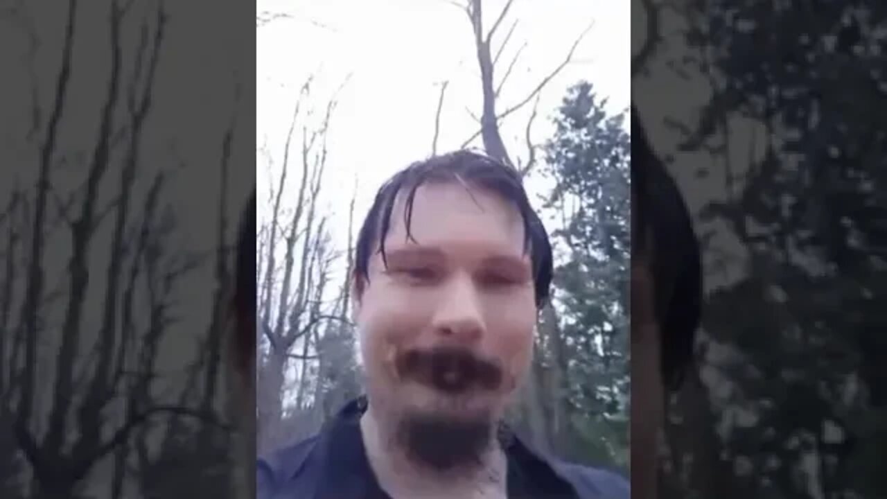 A video about jogging in the rain 🌧️, plantain ☘️ and the fox 🦊