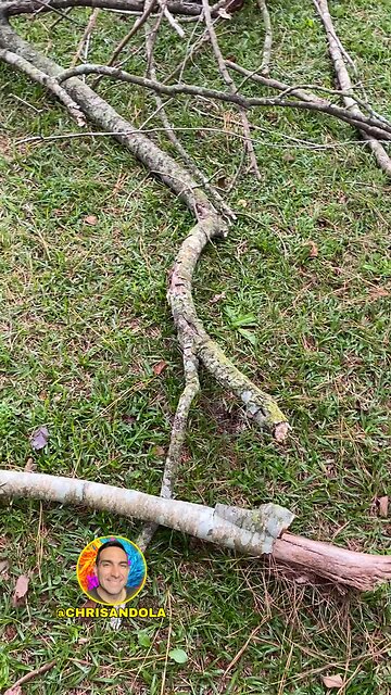 WHAT HAVE YOU LEARNED RECENTLY?