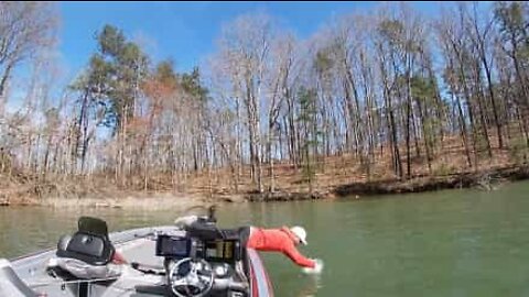 Fisherman dives in headfirst to catch fish