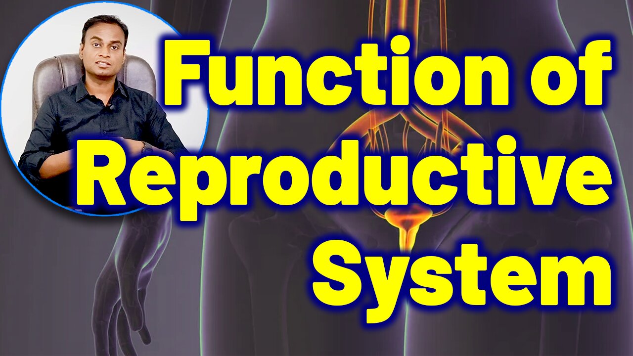 Structure and Function of Women Reproductive System related to Barhtolin Cyst Treatment Remedy Cure