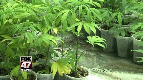 Township to weigh medical marijuana license freeze