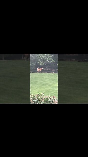 Where’s my Friend?