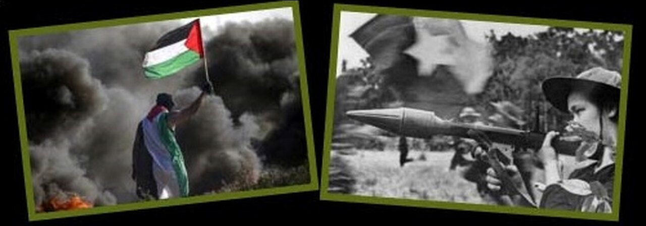 EL GRANO DEL SISTEMA 677: GAZA, OTRO VIETNAM?