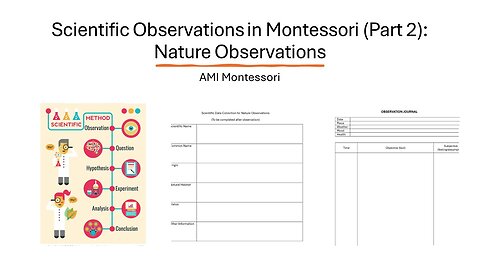 Scientific Observations (Part 2): Nature Observations - Plant and Animal