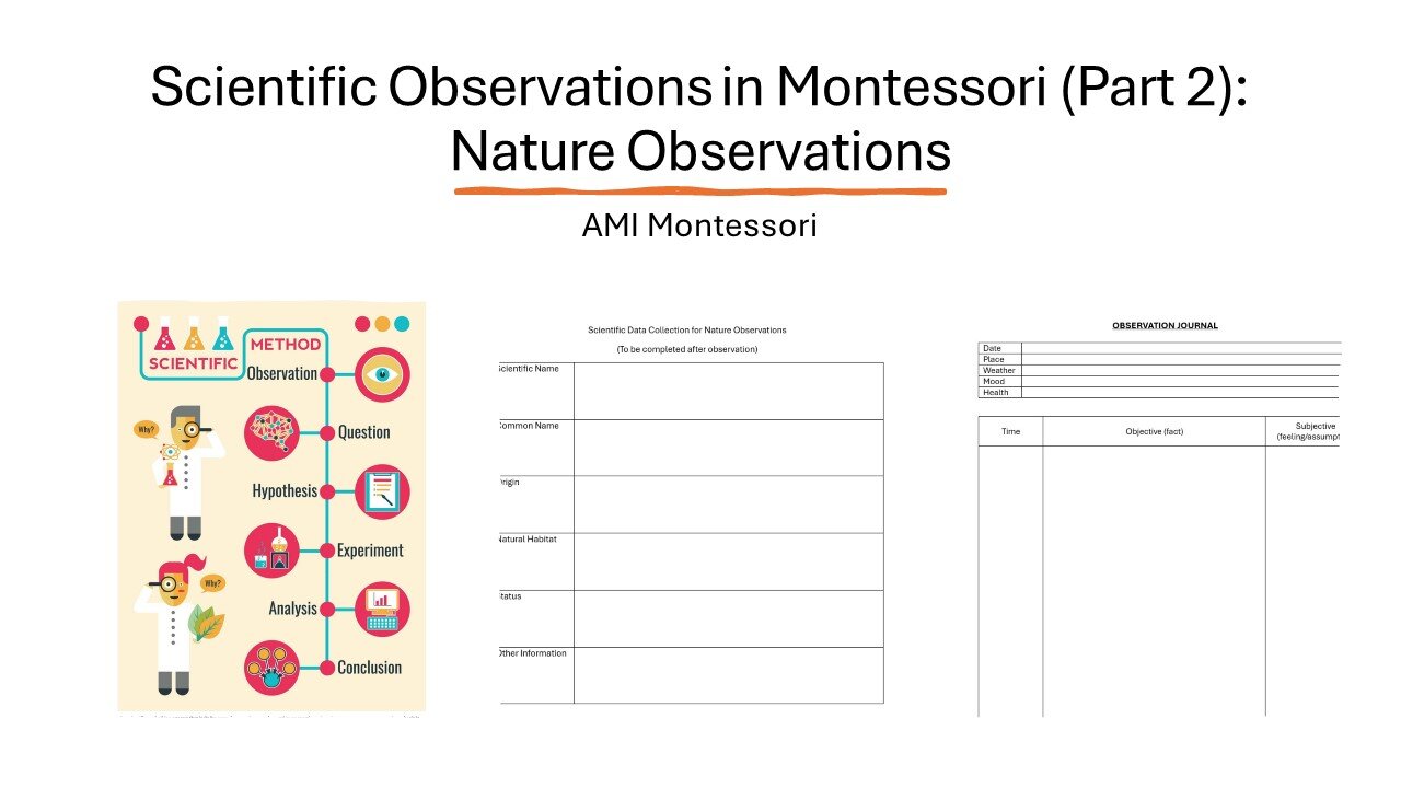 Scientific Observations (Part 2): Nature Observations - Plant and Animal