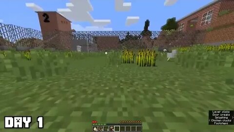 I survived 100 Days as a Chicken in Minecraft