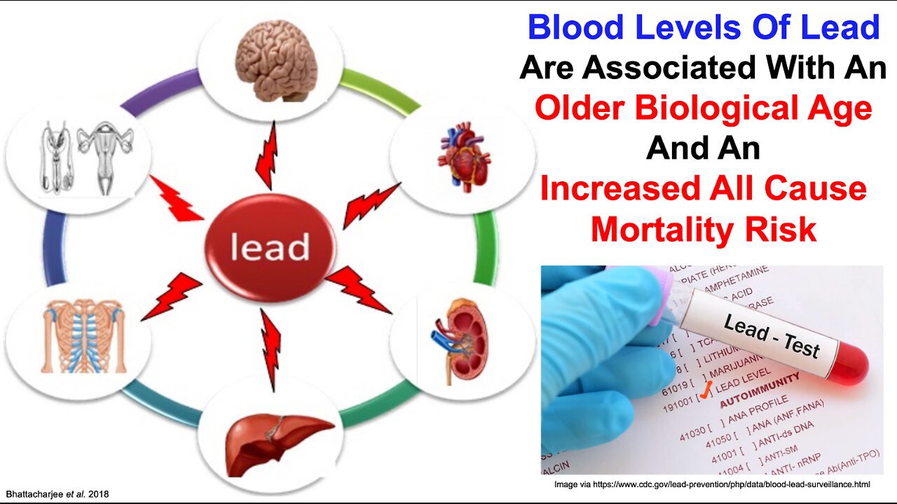 Lead Is Associated With An Older Biological Age And An Increased Mortality Risk