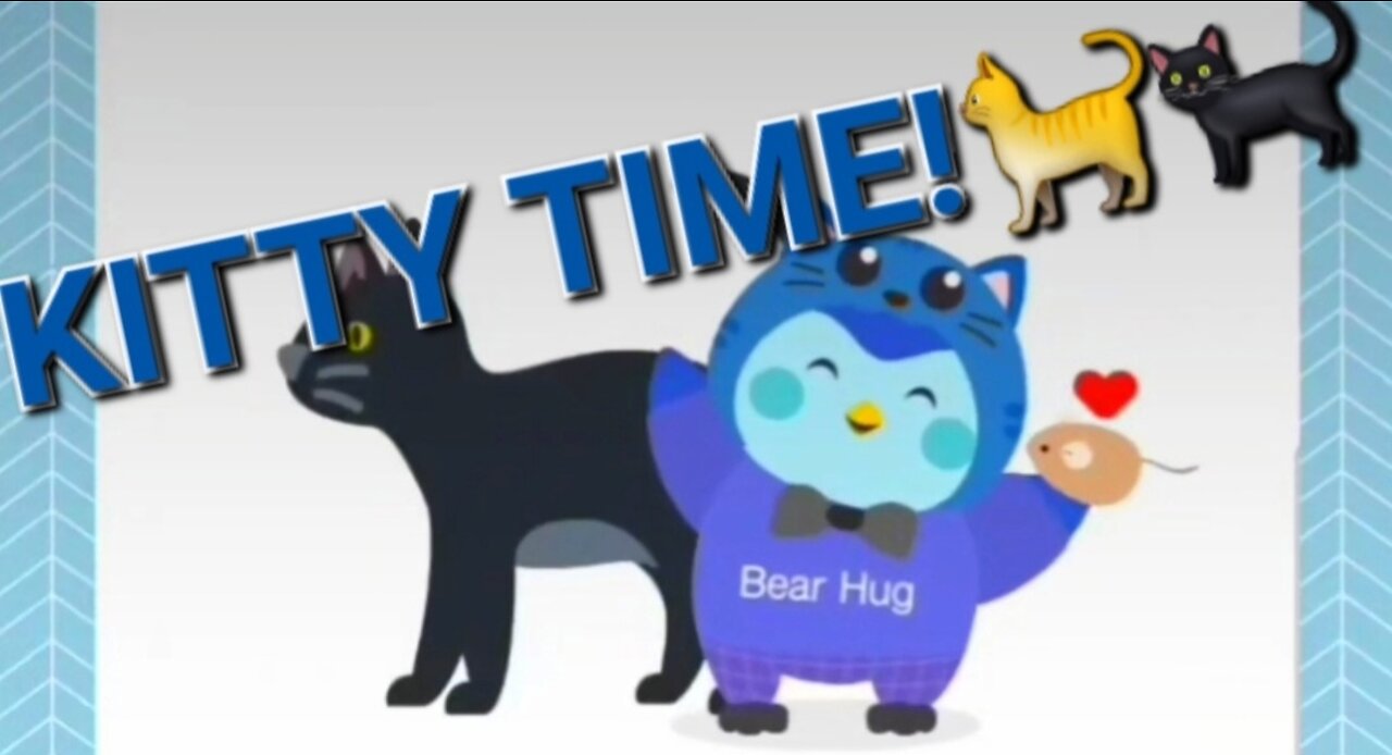 Mypetfinchapp: Kitty Time