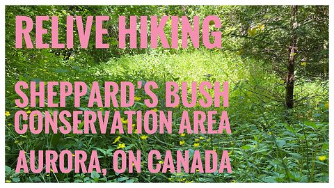 Relive Hiking | Sheppard’s Bush C.A. | Aurora, ON 🇨🇦