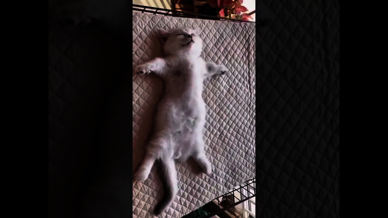 Só quero relaxar