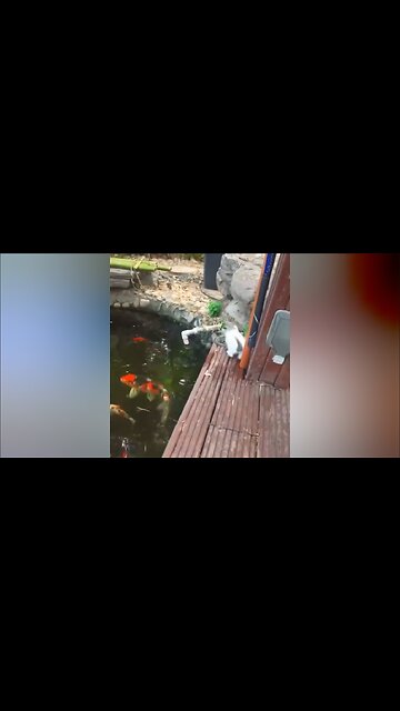 Mother to the rescue.