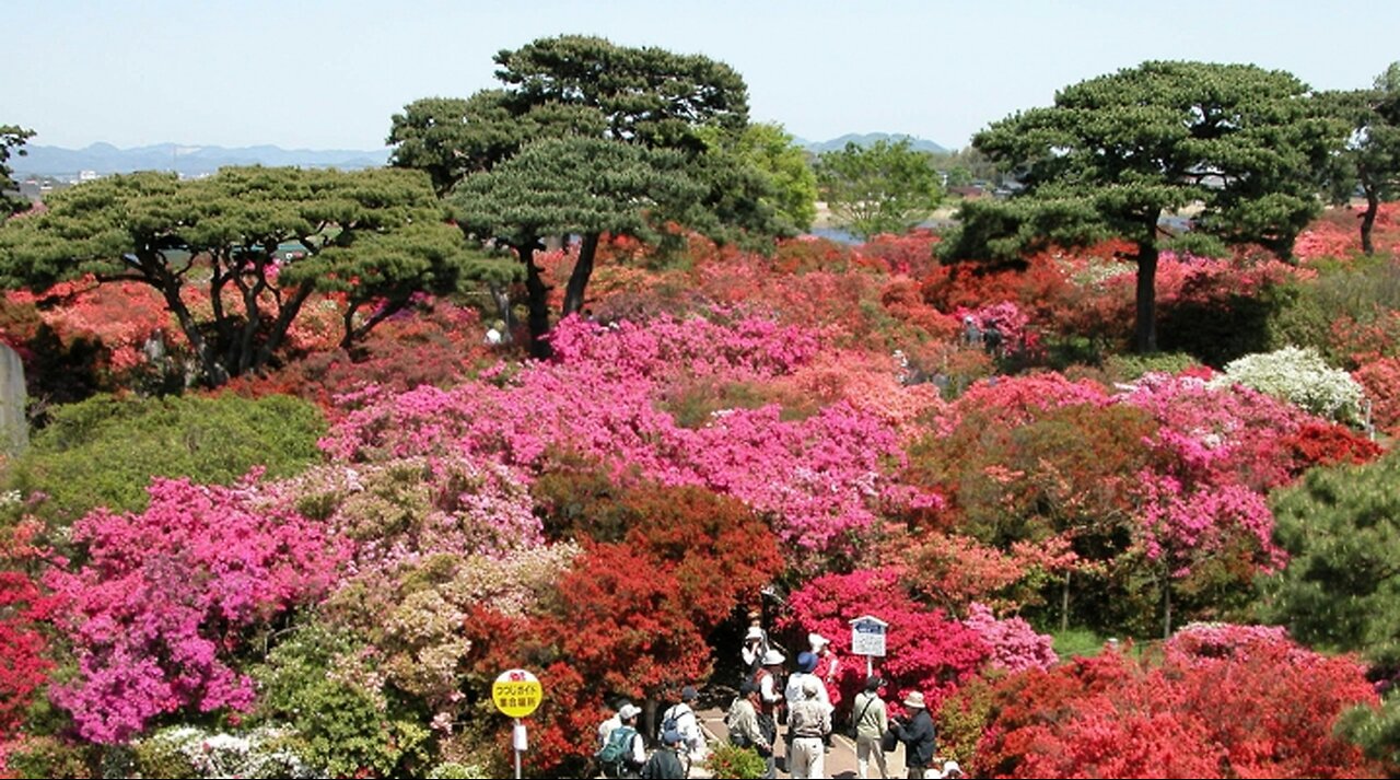 Tsutsujigaoka Park, Japan