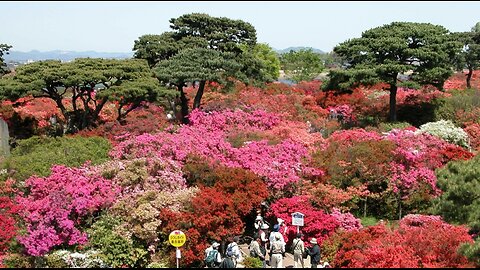 Tsutsujigaoka Park, Japan