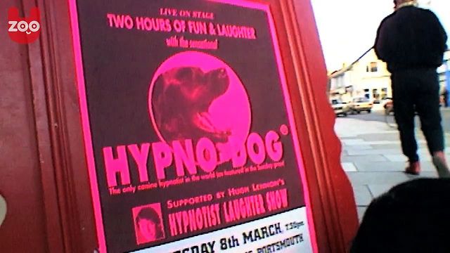Oscar, Pies-Hipnotyzer