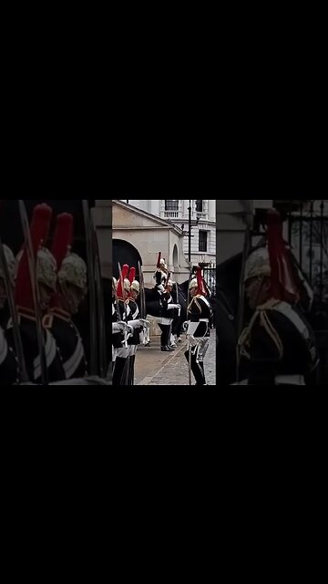 The Queen's Guards insert 2022 #horseguardsparade