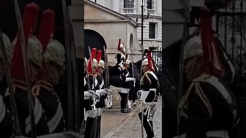 The Queen's Guards insert 2022 #horseguardsparade