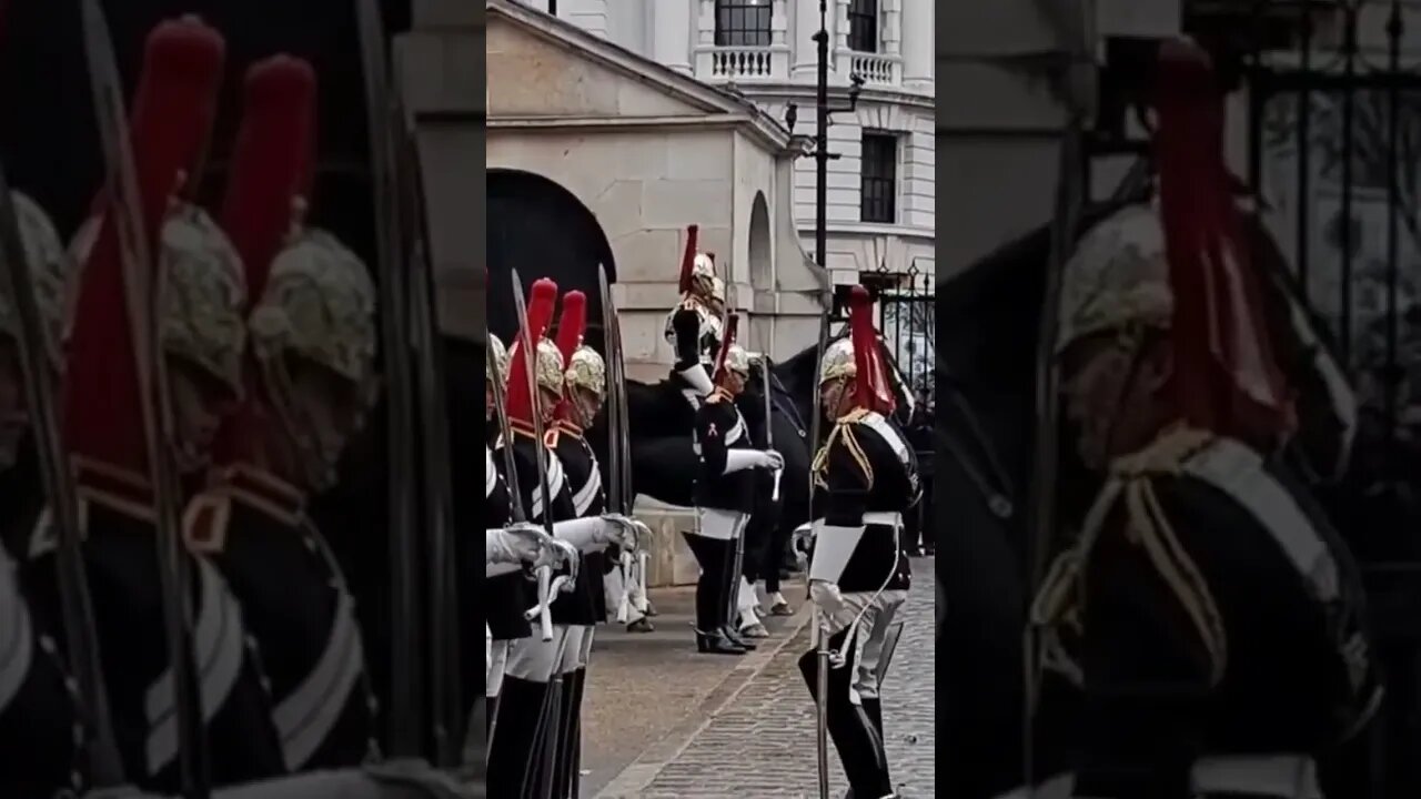 The Queen's Guards insert 2022 #horseguardsparade