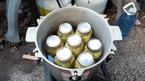 CANNING BEANS in my #HillbillyKitchen(2)