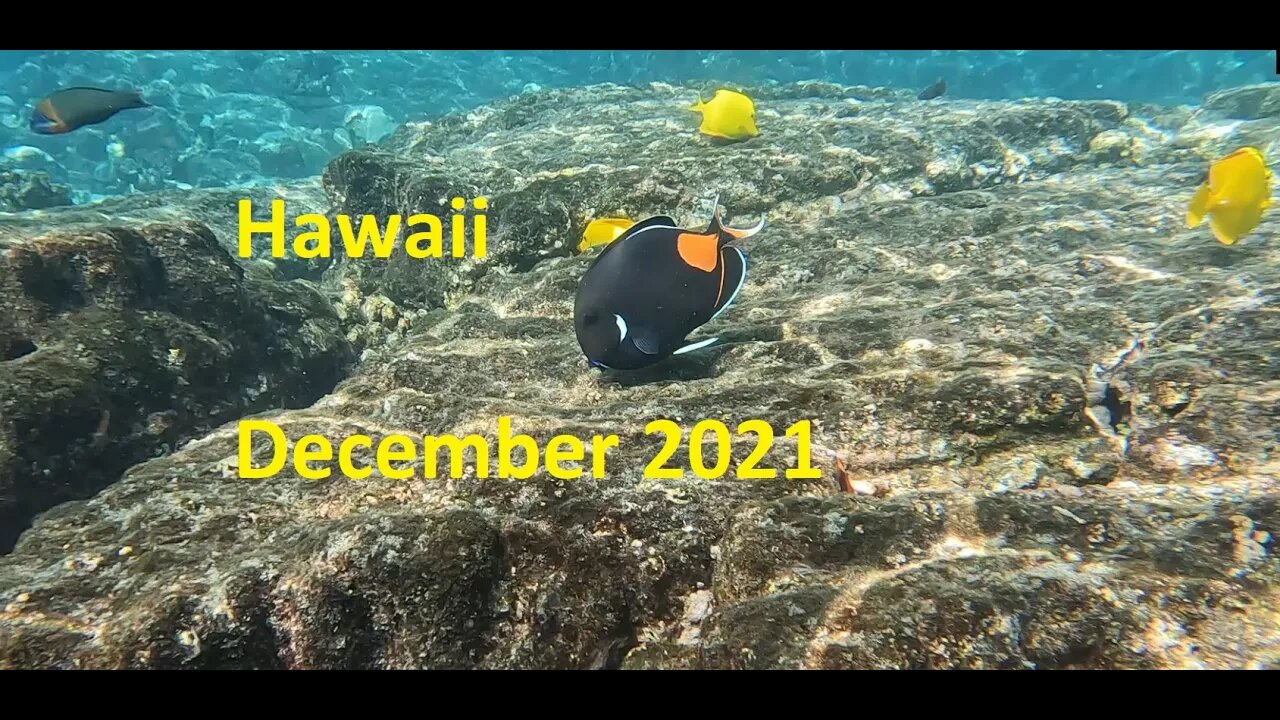 Hawaii - December 2021