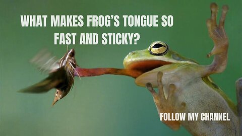 What Makes This Frog's Tongue So Fast And Sticky ?