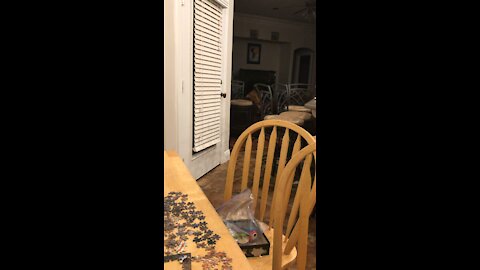 Three Howling Dogs