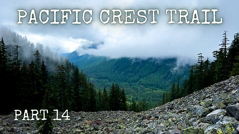 Wasp Stings, Trail Magic, and Foggy Forests: Solo PCT (Part 14)