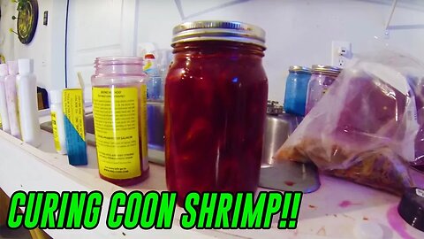 "How-To" | Cure Coon Shrimp For Salmon & Steelhead Fishing Bait