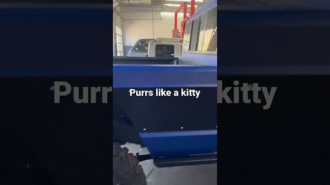 Purrs like a kitten