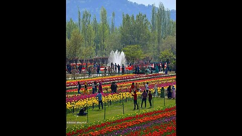 Kashmir paradise on earth.