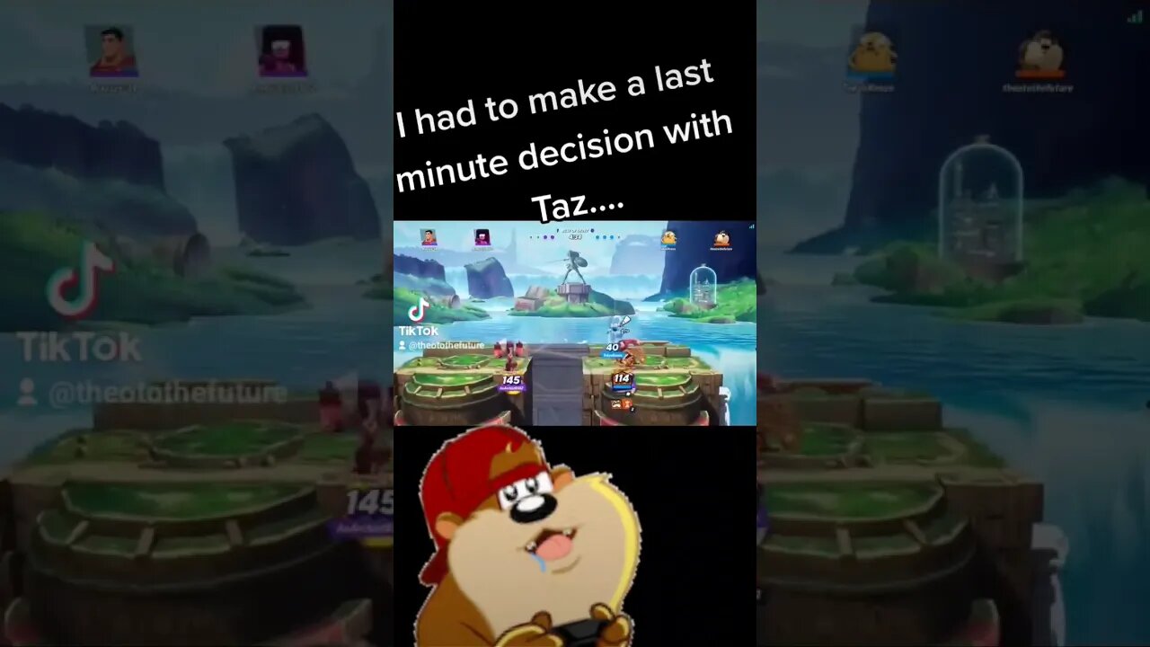 TAZ Chooses GARNET In Multiversus