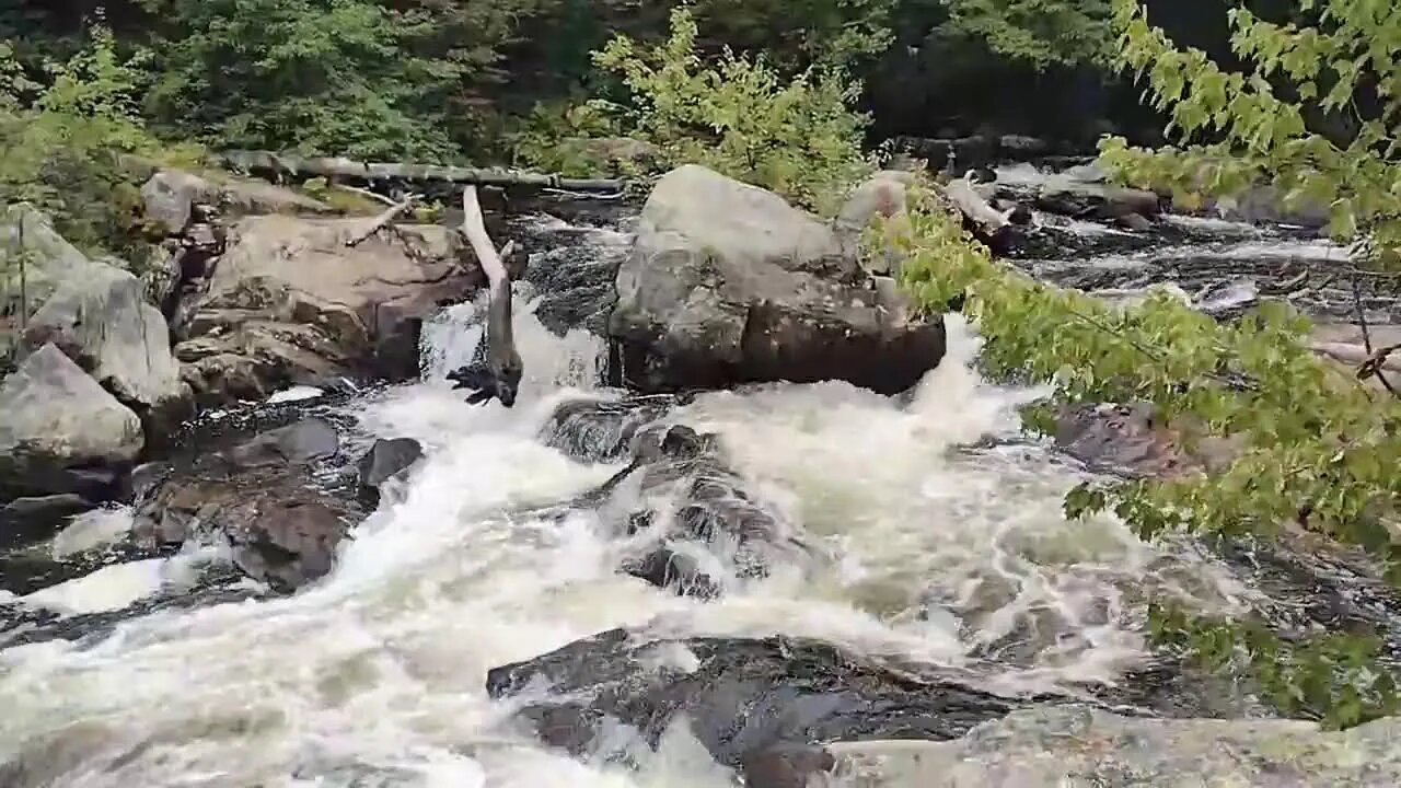 Waterfall 🌊 Stream #waterfall #river