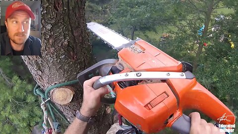 Arborist Climbing Adventures in a Dead Pine Tree