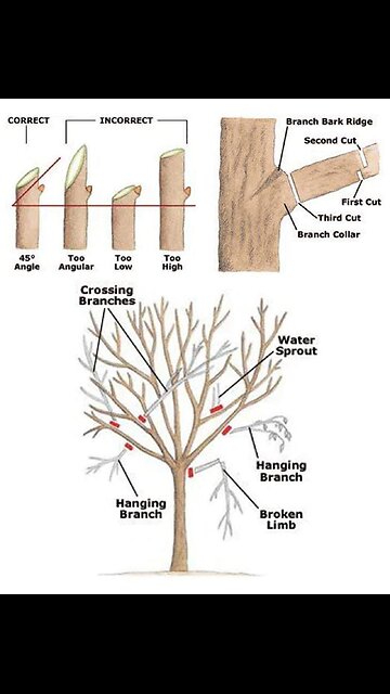 ⚠️⚠️⚠️ The Truth About American Bread...