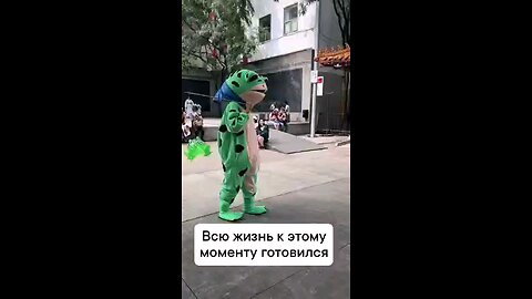 funny videos