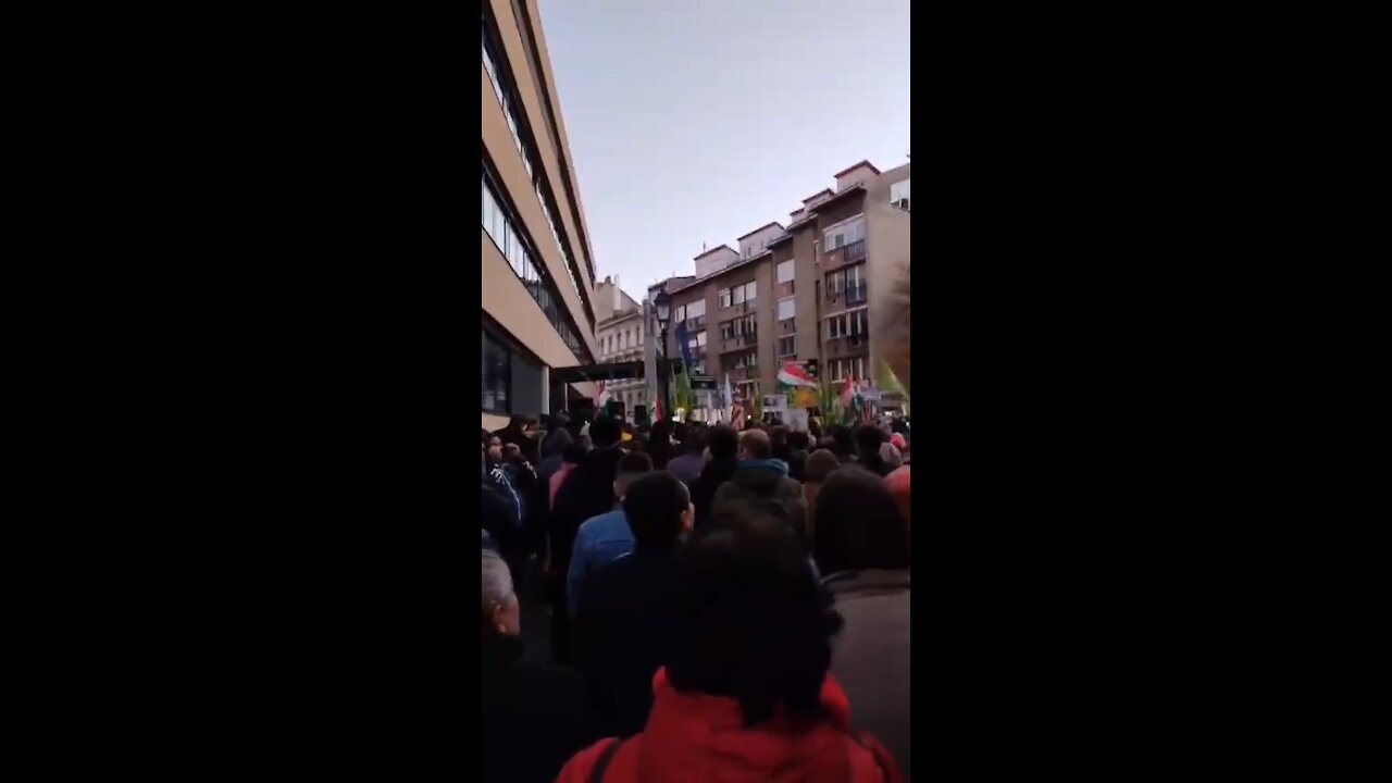 Budapest, Hungary - Antivaccine protest (Nov. 20)