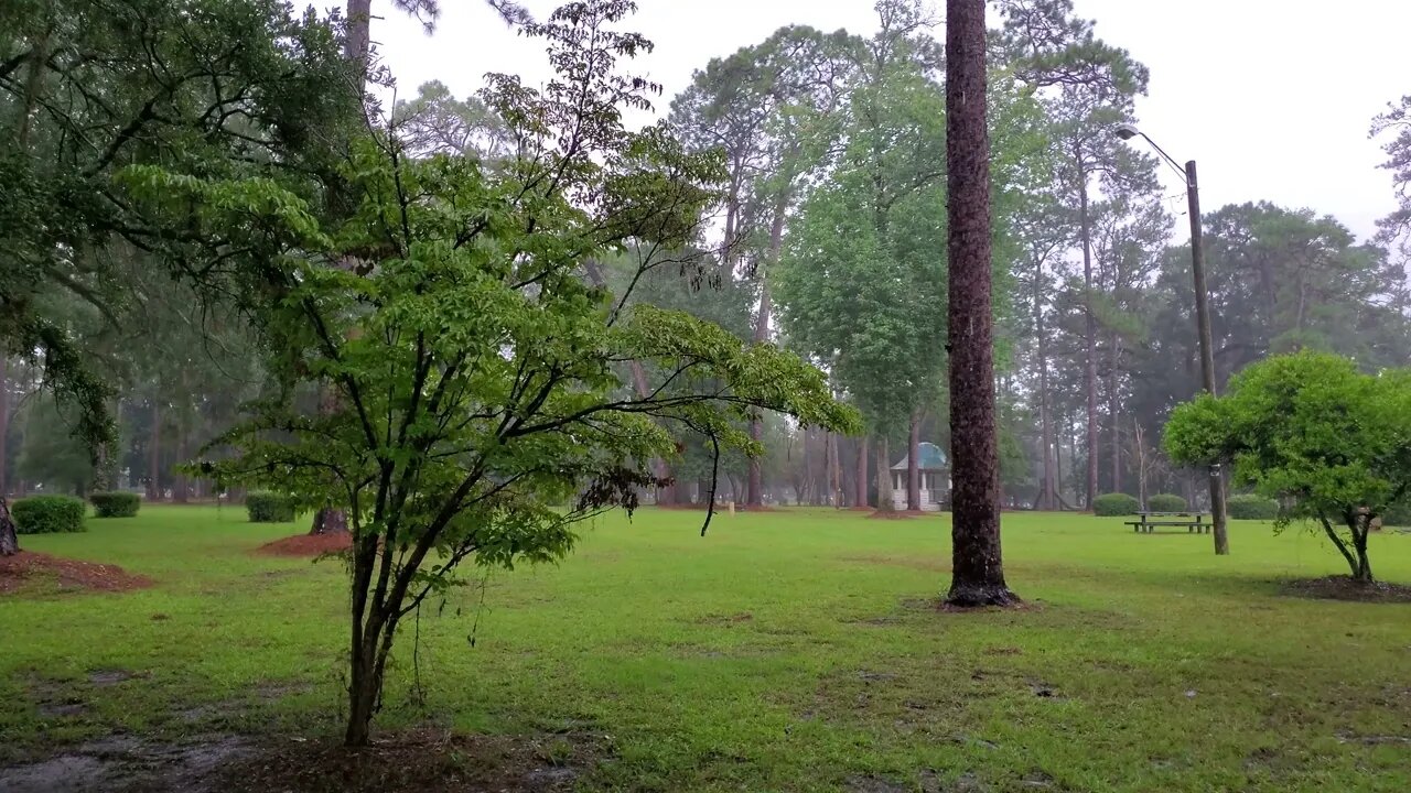 Paradise Park in the rain facing South 09 01 2022