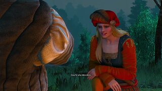 The Witcher 3 Wild Hunt – Complete Edition #68