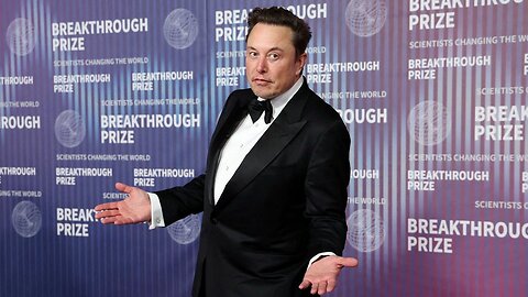 How Elon Musk made his fortune