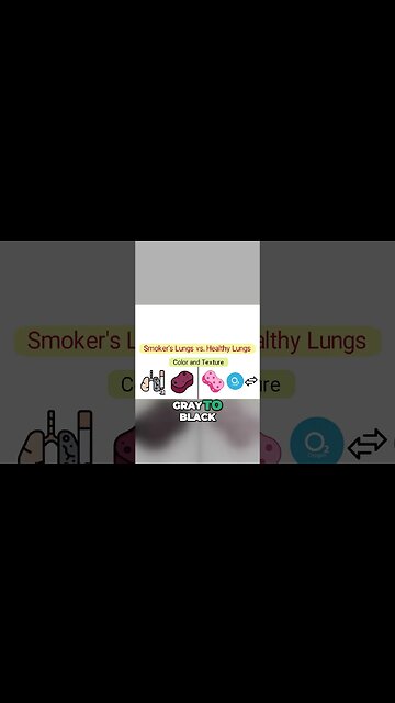Smokers' Lungs vs. Healthy Lungs