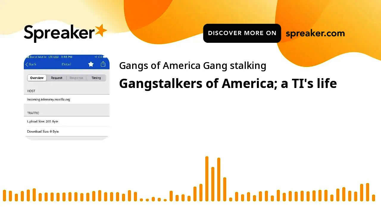 Gangstalkers of America; a TI's life