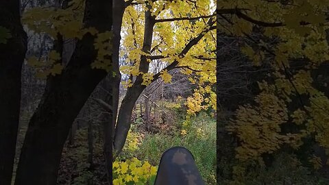 Beautiful fall day 🍁🍂🙏