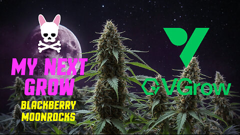Let's Get Growing - Blackberry Moonrocks - Vivosun - VGrow Smart Grow Box