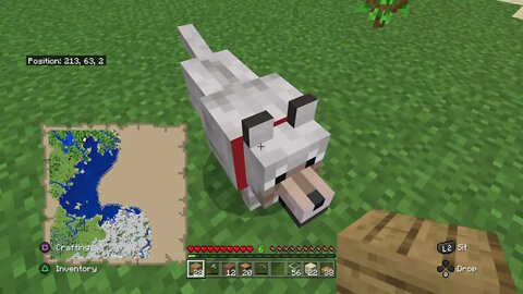 Minecraft Part 4-We Have A Dog